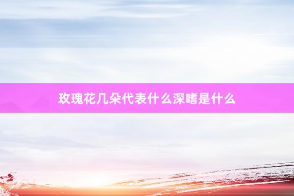 玫瑰花几朵代表什么深嗜是什么