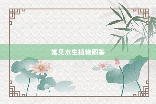 常见水生植物图鉴