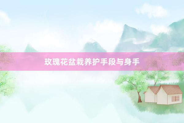 玫瑰花盆栽养护手段与身手