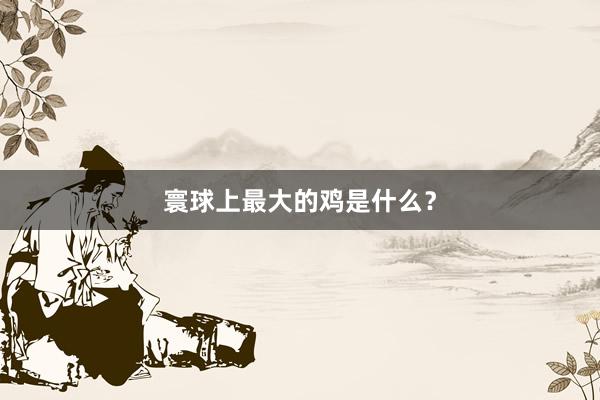 寰球上最大的鸡是什么？